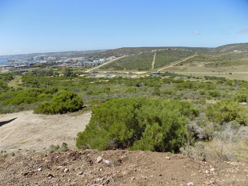 0 Bedroom Property for Sale in Seemeeu Park Western Cape